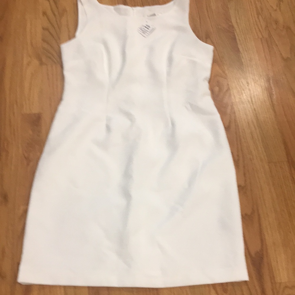 NWT. DANILLO dress size 12